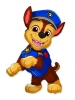 PAW CHASE SIM